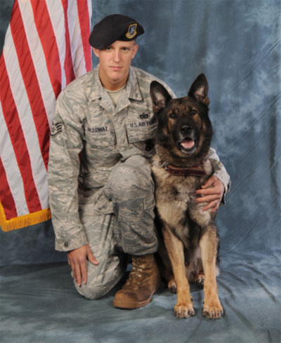 Military working dog