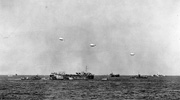 LST 499 Exercise Tiger
