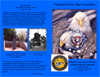 Exercise Tiger Adopt a Serviceman Program Book Cover 2011 Spring